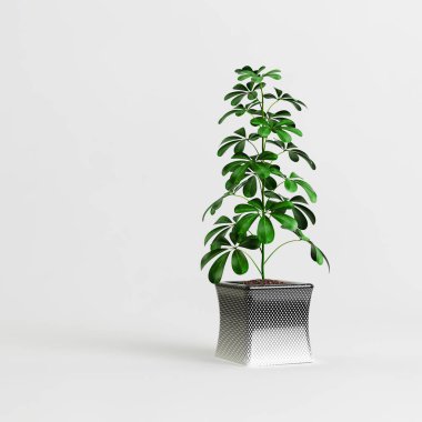 Beyaz arkaplanda izole edilmiş üç boyutlu saksı çizimi