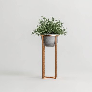 Beyaz arkaplanda izole edilmiş üç boyutlu saksı çizimi