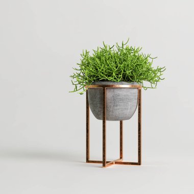 Beyaz arkaplanda izole edilmiş üç boyutlu saksı çizimi