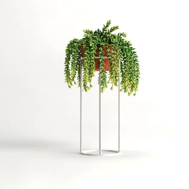 Terrazzo 'daki ev bitkisinin beyaz arka planda izole edilmiş üç boyutlu çizimi