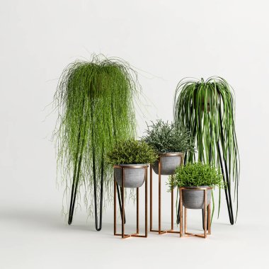 Beyaz arkaplanda izole edilmiş üç boyutlu ev bitkisi çizimi