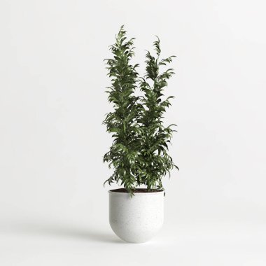 Beyaz arkaplanda izole edilmiş üç boyutlu saksı çizimi