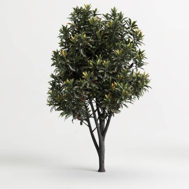 Beyaz arkaplanda izole edilmiş üç boyutlu ağaç çizimi