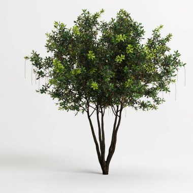 Beyaz arkaplanda izole edilmiş üç boyutlu ağaç çizimi