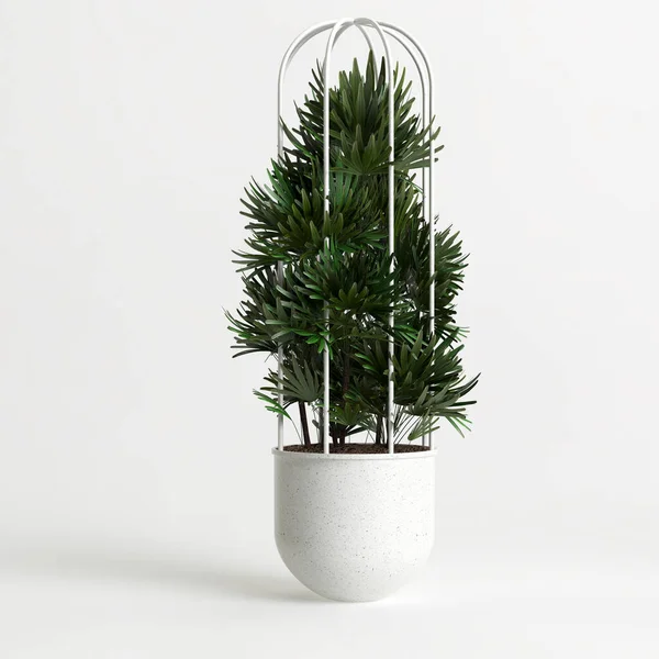 Beyaz arkaplanda izole edilmiş üç boyutlu saksı çizimi