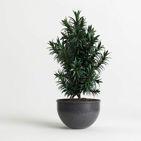 Beyaz arkaplanda izole edilmiş üç boyutlu saksı çizimi