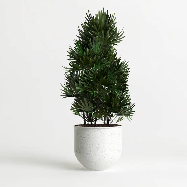 Beyaz arkaplanda izole edilmiş üç boyutlu saksı çizimi