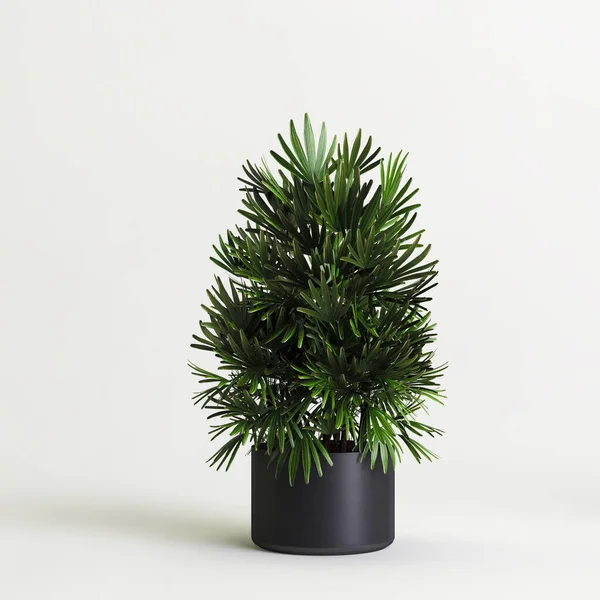 Beyaz arkaplanda izole edilmiş üç boyutlu saksı çizimi