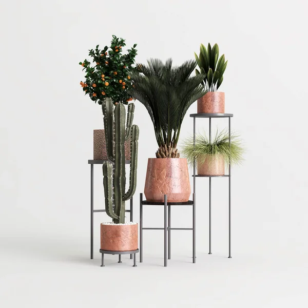 Beyaz arkaplanda izole edilmiş üç boyutlu ev bitkisi çizimi