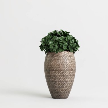 3d illustration of houseplant in potted on white background
