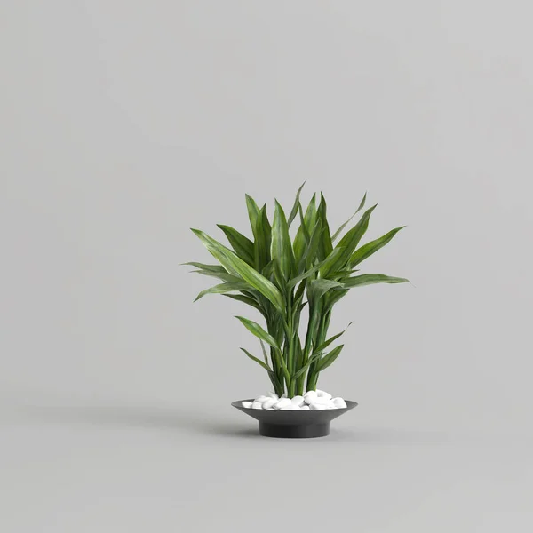 白色底座花瓶中植物装饰的三维图解 — 图库照片