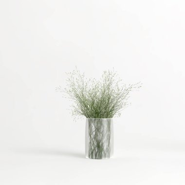 Dekoratif vazonun beyaz arkaplanda izole edilmiş hali