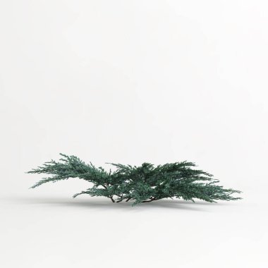 Çiçek çalılarının beyaz arkaplanda izole edilmiş 3D çizimi