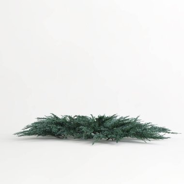 Çiçek çalılarının beyaz arkaplanda izole edilmiş 3D çizimi