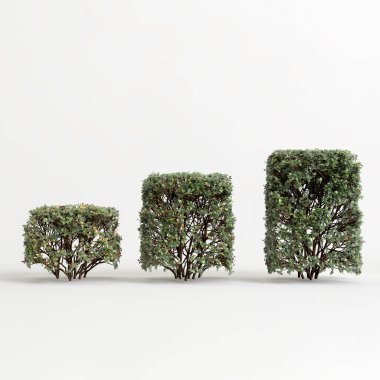 3d illustration of tree fence