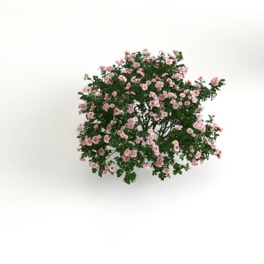 Ağaç çitlerinin 3 boyutlu çizimi