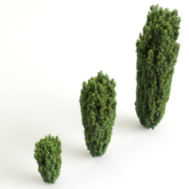 Ağaç çitlerinin 3 boyutlu çizimi