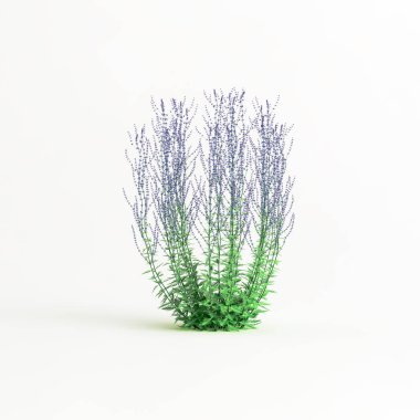 Çiçek çalılarının beyaz arkaplanda izole edilmiş 3D çizimi