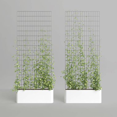 3d illustration of creeper plant isolated on white background