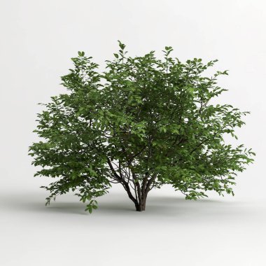 Beyaz arkaplanda izole edilmiş üç boyutlu ağaç çizimi