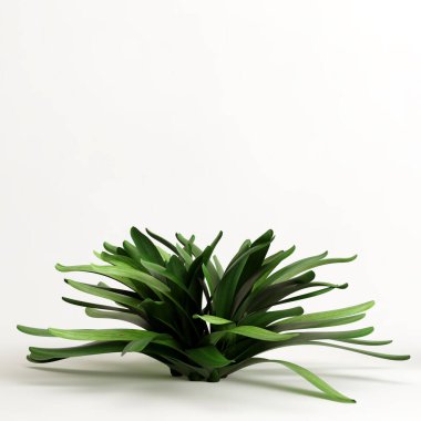 Nilüfer çiçeğinin beyaz arka planda izole edilmiş 3D çizimi