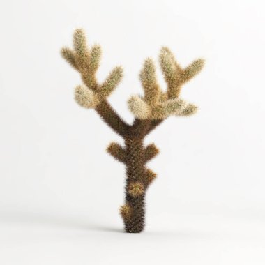 3d illustration of Cylindropuntia bigelovii cactus isolated on white bachground