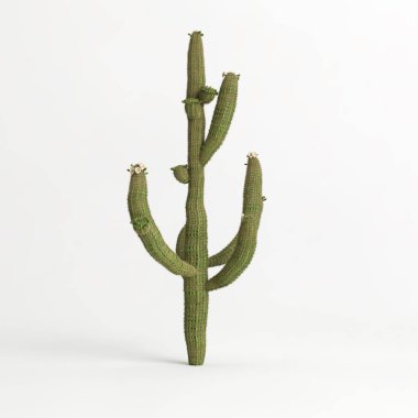 3d illustration of Carnegiea gigantea tree isolated on white bachground