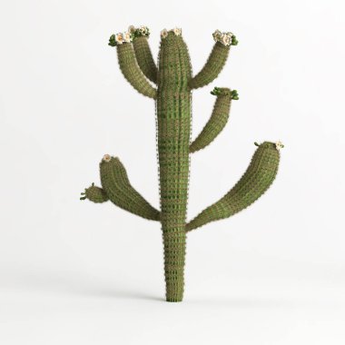 3d illustration of Carnegiea gigantea tree isolated on white bachground