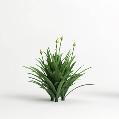 3d illustration of allium caeruleum