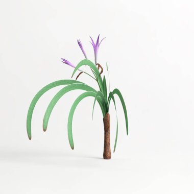 3d illustration of worsleya procera plant isolated on white background