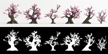 3D görüntü Armeniaca mume bonsai beyaz ve maskesinde izole