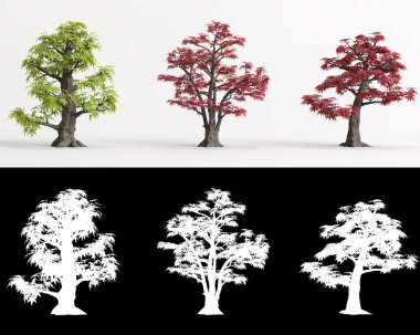 Beyaz üzerine izole edilmiş Acer palmatum bonsai ve maskesinin 3D çizimi