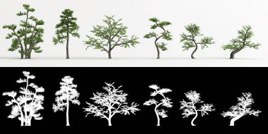 Beyaz üzerine izole edilmiş Zanthoxylum piperitum bonsai ve maskesinin 3D çizimi