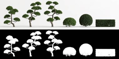 Beyaz üzerine izole edilmiş Carmona microphylla ağacı ve maskesinin 3D çizimi