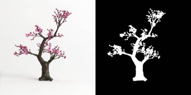 Armeniaca mume bonsai 'nin beyaza ve maskesine izole edilmiş 3D çizimi