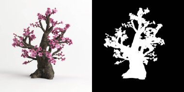 Armeniaca mume bonsai 'nin beyaza ve maskesine izole edilmiş 3D çizimi