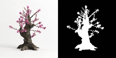 Armeniaca mume bonsai 'nin beyaza ve maskesine izole edilmiş 3D çizimi