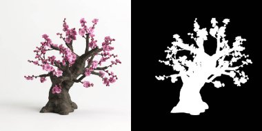 Armeniaca mume bonsai 'nin beyaza ve maskesine izole edilmiş 3D çizimi