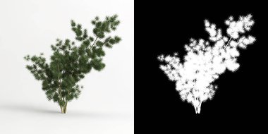 Beyaz üzerine izole edilmiş kuşkonmaz retrofraktüs ağacı ve maskesinin 3D çizimi