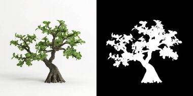 Serissa japonica bonsai 'nin 3 boyutlu resmi beyaza ve maskesine izole edilmiş.