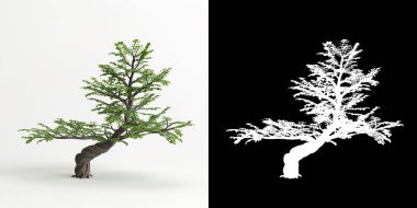 Beyaz üzerine izole edilmiş Zanthoxylum piperitum bonsai ve maskesinin 3D çizimi