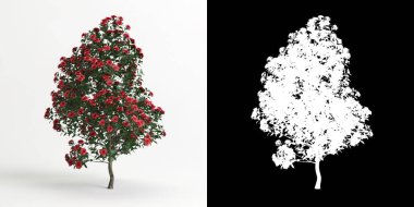 Beyaz kamelya sasanqua çiçeği ve maskesinin 3D çizimi