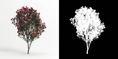 Beyaz kamelya sasanqua çiçeği ve maskesinin 3D çizimi