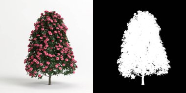 Beyaz kamelya sasanqua çiçeği ve maskesinin 3D çizimi