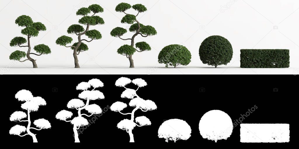 3d illustration of set Carmona microphylla tree isolated on white and its mask