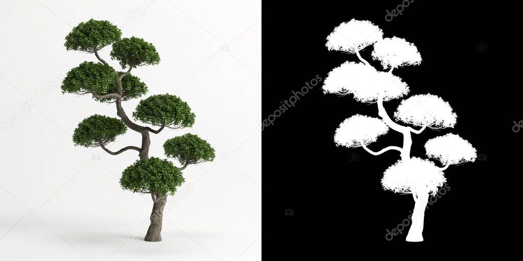 3d illustration of Carmona microphylla bonsai isolated on white and its mask