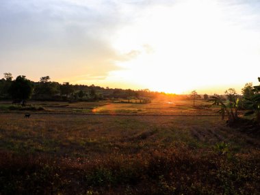 Gün batımında gölgeli doğal manzara
