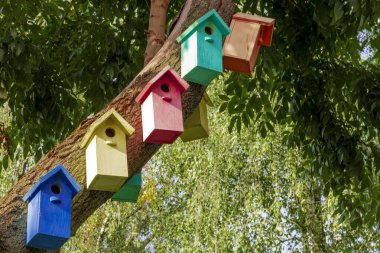 Çok renkli kuş evleri. Renkli yuva kutuları. Renkli Kuş Evleri. Kuşlar için evler. Kuş kışı için konaklamalar