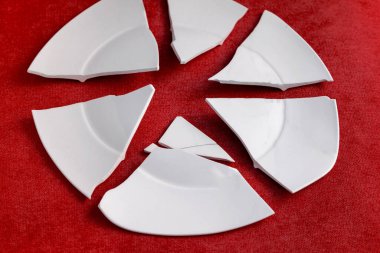 Kırık tabak. Beyaz parçalar, parçalanmış bir tabağın kıymıkları