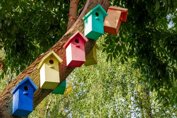 Veelkleurige Vogelhuisjes Gekleurde Nestbox Kleurrijke Vogelhuizen Huizen Voor Vogels Lodges — Stockfoto